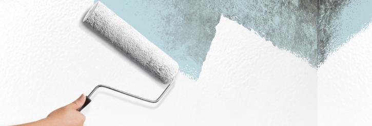 Image for Mold Killing Primer Calgary with ID of: 2676927