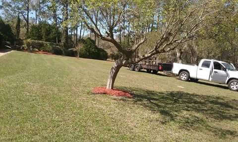 Image for Dickie's Lawn Service with ID of: 2678400