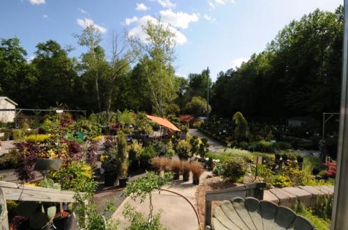 Image for Atlantic Gardening Company with ID of: 2678973