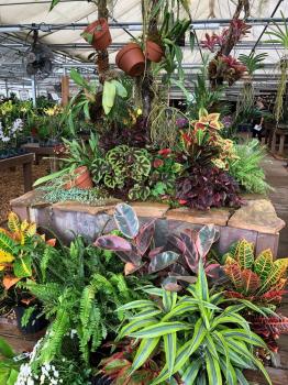 Image for Atlantic Gardening Company with ID of: 2678976