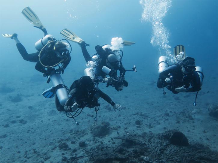 Image for Scuba Bali Dive with ID of: 2679683