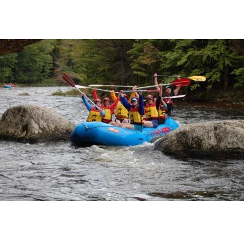 Image for Crab Apple Whitewater with ID of: 2681034