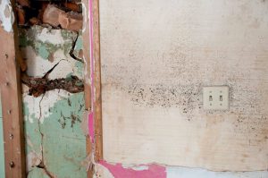 Image for Environmental Control with ID of: 2682045