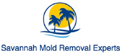 Image for Savannah Mold Removal Experts with ID of: 2683846