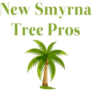 Image for New Smyrna Tree Pros with ID of: 2684462