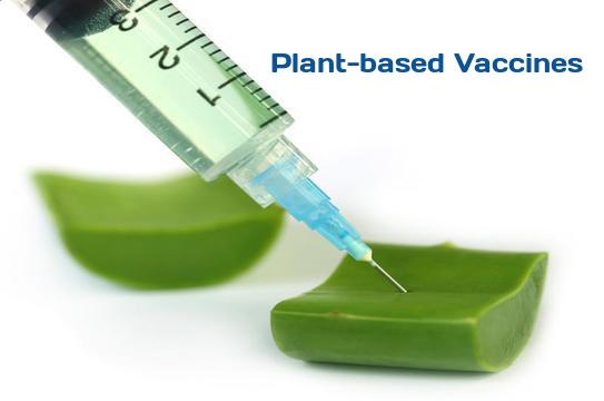Image for Plant-based Vaccines Market - Size, Share, Growth, Outlook, and Analysis, 2018–2026 with ID of: 2684874