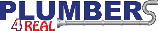 Image for Plumbers 4 Real LLC with ID of: 2685998
