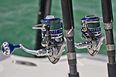 Image for Dream Catcher Charters with ID of: 2686064