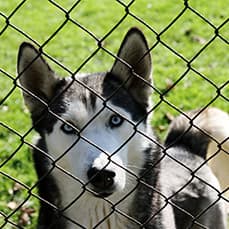 Image for Rite-Way Fencing Inc. with ID of: 2686728