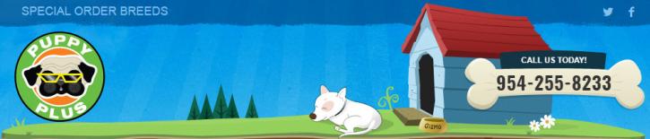 Image for Puppy Plus with ID of: 2687383