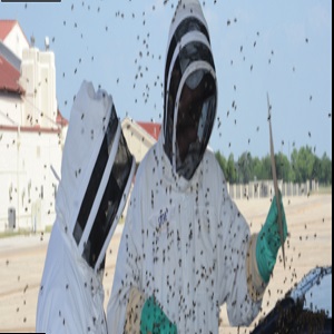 Image for Pest Control Pros with ID of: 2690947