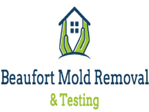 Image for Beaufort Mold Removal and Testing with ID of: 2691137