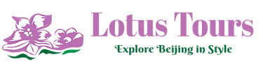 Image for Lotus Tours with ID of: 2692404