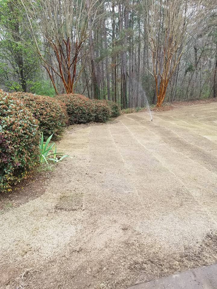 Image for Palmetto Sod And Irrigation LLC with ID of: 2693569