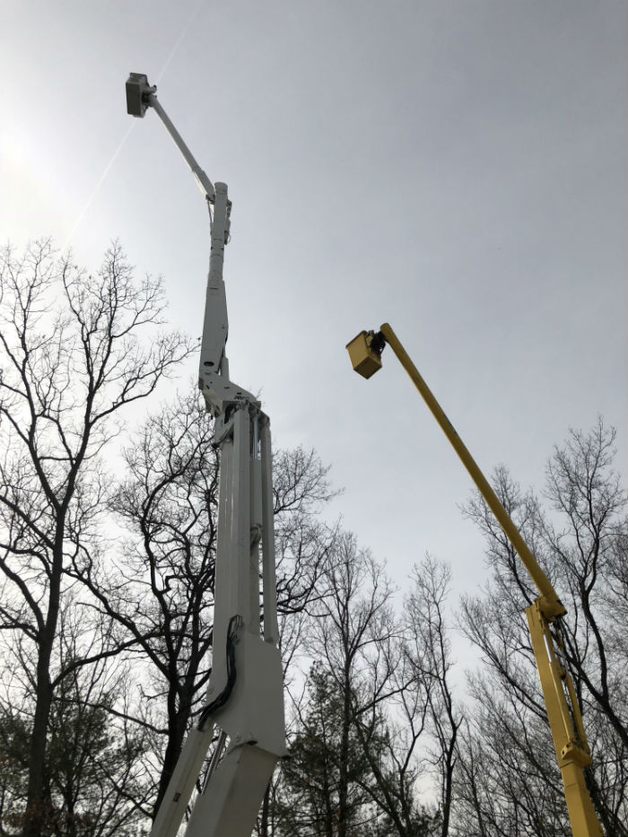 Image for Andy's Tree Service - Greenville with ID of: 2693604