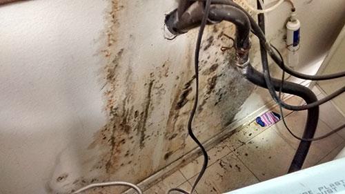 Image for Rapid Repair Handyman with ID of: 2694442