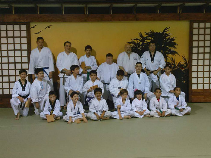 Image for Martial Arts America with ID of: 2695580
