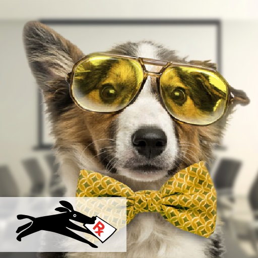 Image for Petcarerx with ID of: 2697006