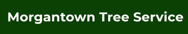 Image for Morgantown Tree Service with ID of: 2697691
