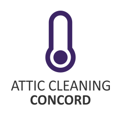 Image for Attic Cleaning Concord with ID of: 2699112