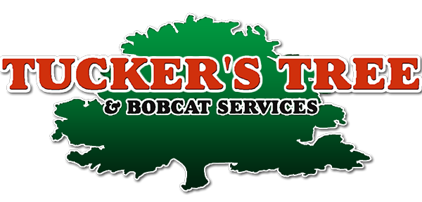 Image for Tucker's Tree & Bobcat Services with ID of: 2699958