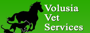 Image for Volusia Veterinary Services with ID of: 2701982