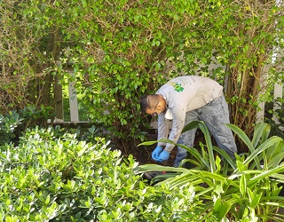 Image for O'Hara Pest Control Inc. with ID of: 2702142