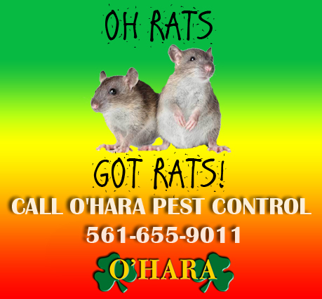 Image for O'Hara Pest Control Inc. with ID of: 2702151