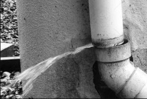 Image for Sedco Plumbing with ID of: 2702419