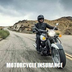 Image for Auto International Insurance with ID of: 2703451