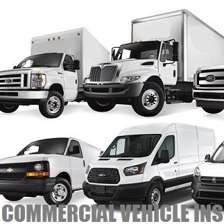 Image for Auto International Insurance with ID of: 2703453