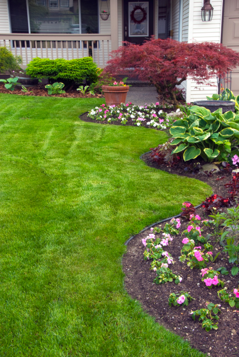 Image for Creative Landscape Redmond with ID of: 2705540
