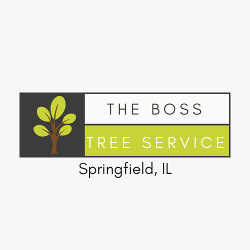 Image for Boss Tree Service Springfield IL with ID of: 2707050
