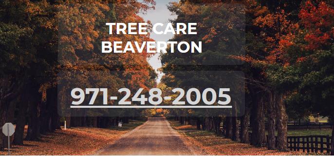 Image for Tree care Beaverton with ID of: 2707453