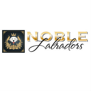 Image for Noble Labradors with ID of: 2707941