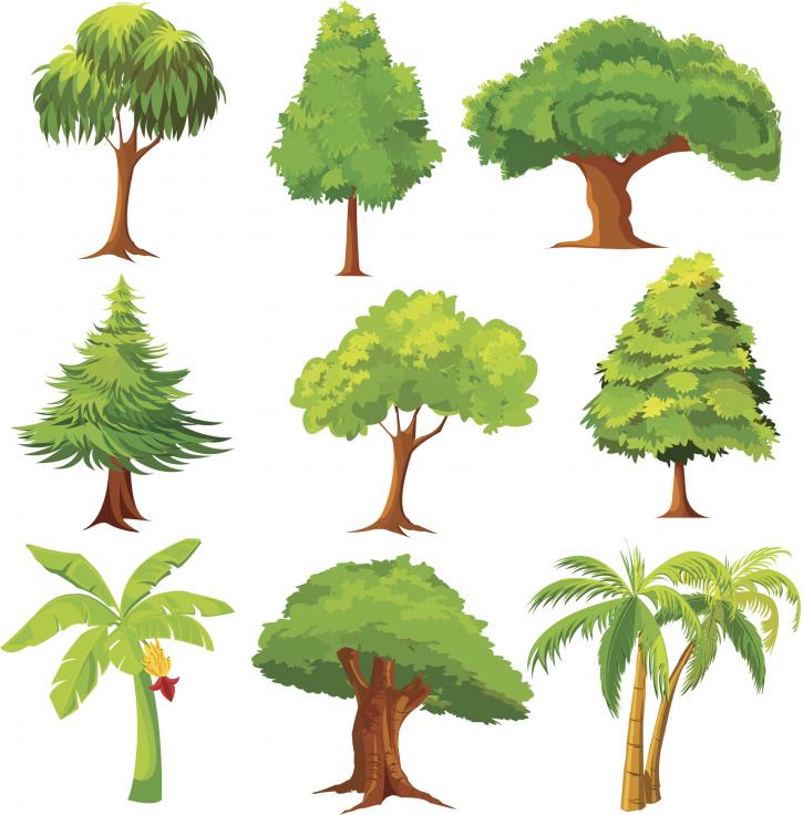 Image for Progressive Tree Care San Juan Capistrano with ID of: 2708422
