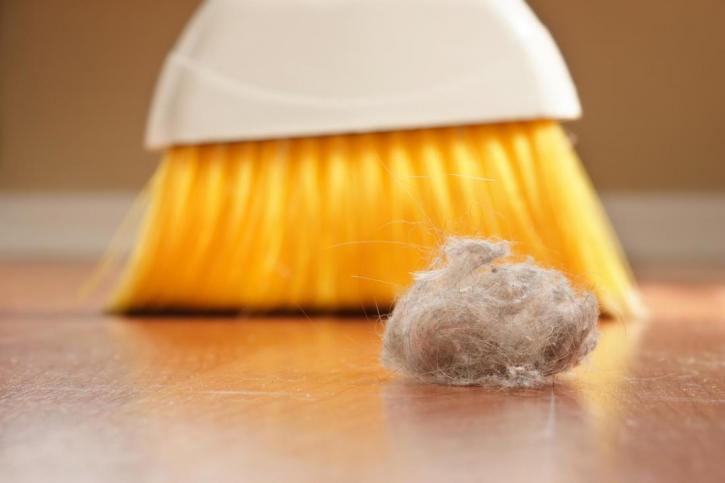 Image for Windsors Janitorial Experts with ID of: 2708752