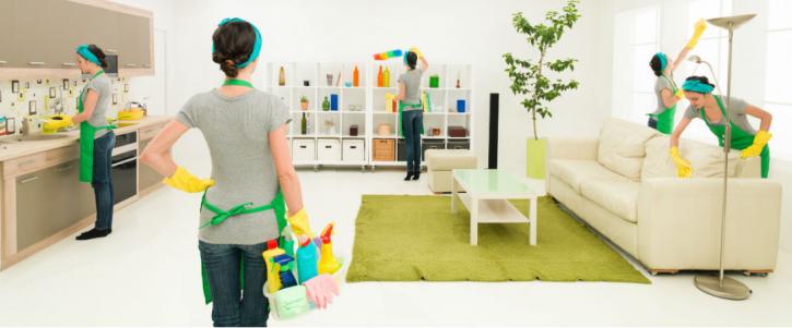 Image for Lucy's Cleaning Team with ID of: 2709403