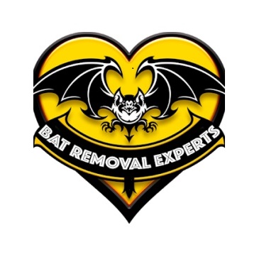 Image for Bat Removal Experts with ID of: 2709522