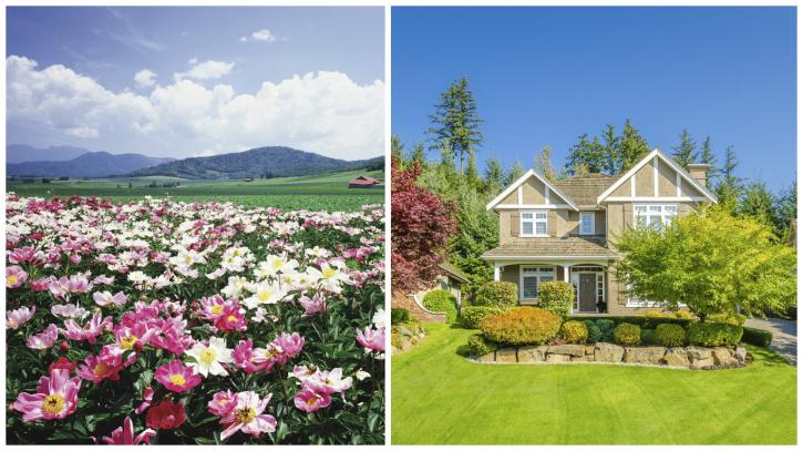 Image for Cox Lawn Service with ID of: 2710210