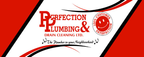 Image for Perfection Plumbing & Drain Cleaning Ltd. with ID of: 2711821