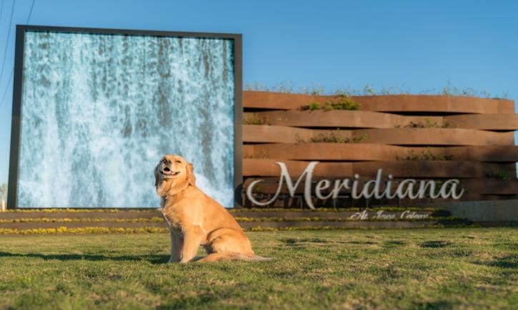 Image for Meridiana 65s with ID of: 2713306