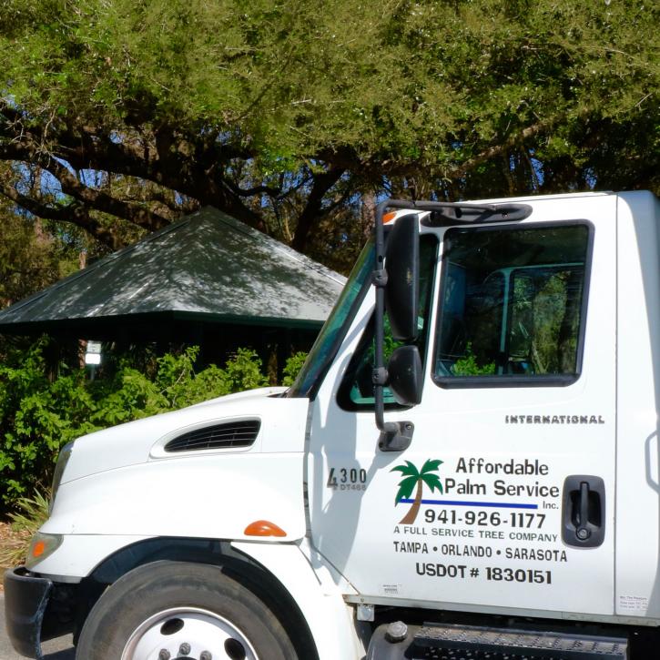 Image for Affordable Palm Service, Inc with ID of: 2713613