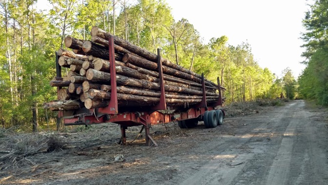 Image for B & C Land Services with ID of: 2714333