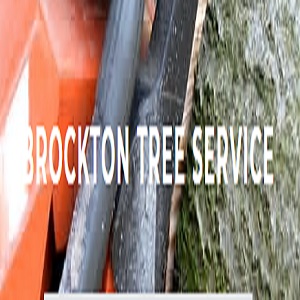 Image for Brockton Tree Co with ID of: 2714388