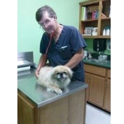 Image for Jones Veterinary Hospital with ID of: 2714828