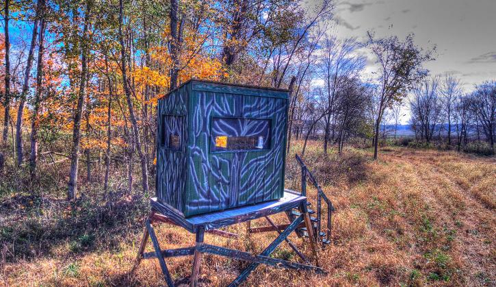Image for X Factor Whitetails with ID of: 2715181