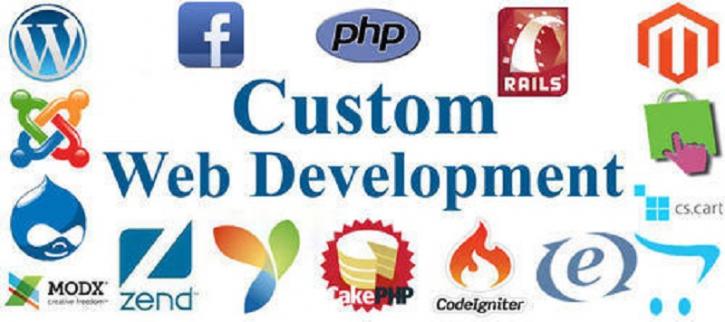 Image for Custom Website Development with ID of: 2715579