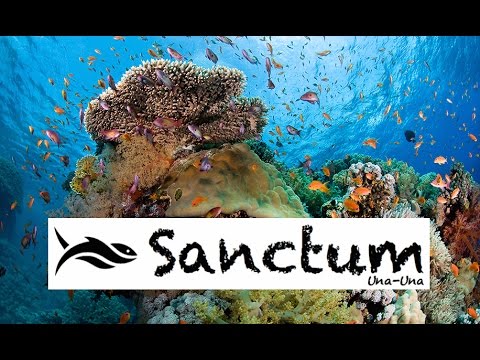 Image for Scuba Diving Courses with ID of: 2718094