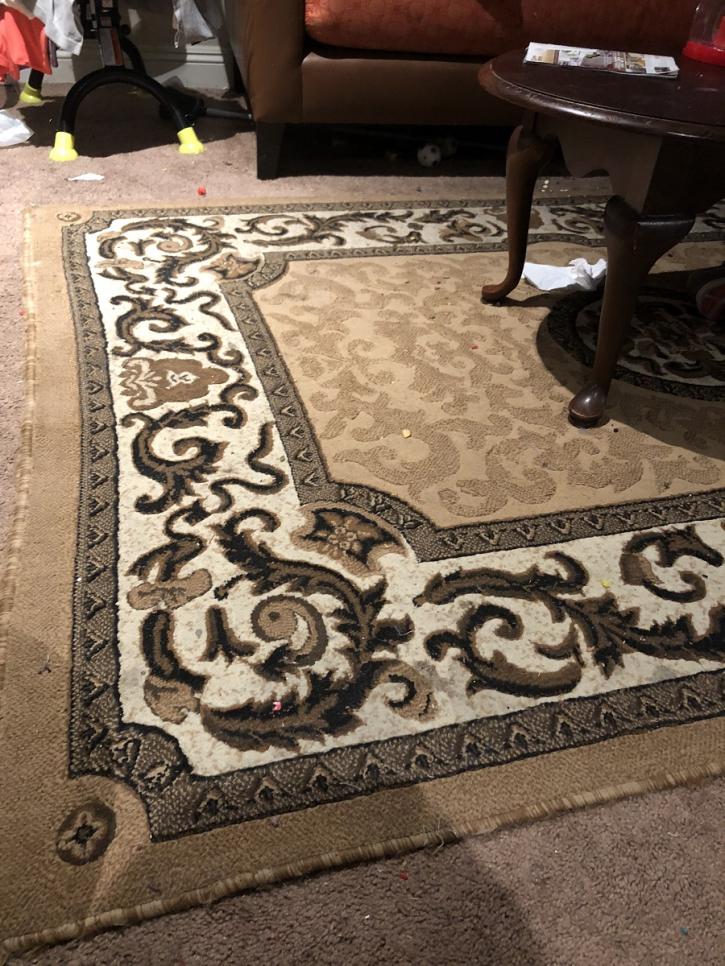 Image for Alan Carpet Cleaning with ID of: 2718520